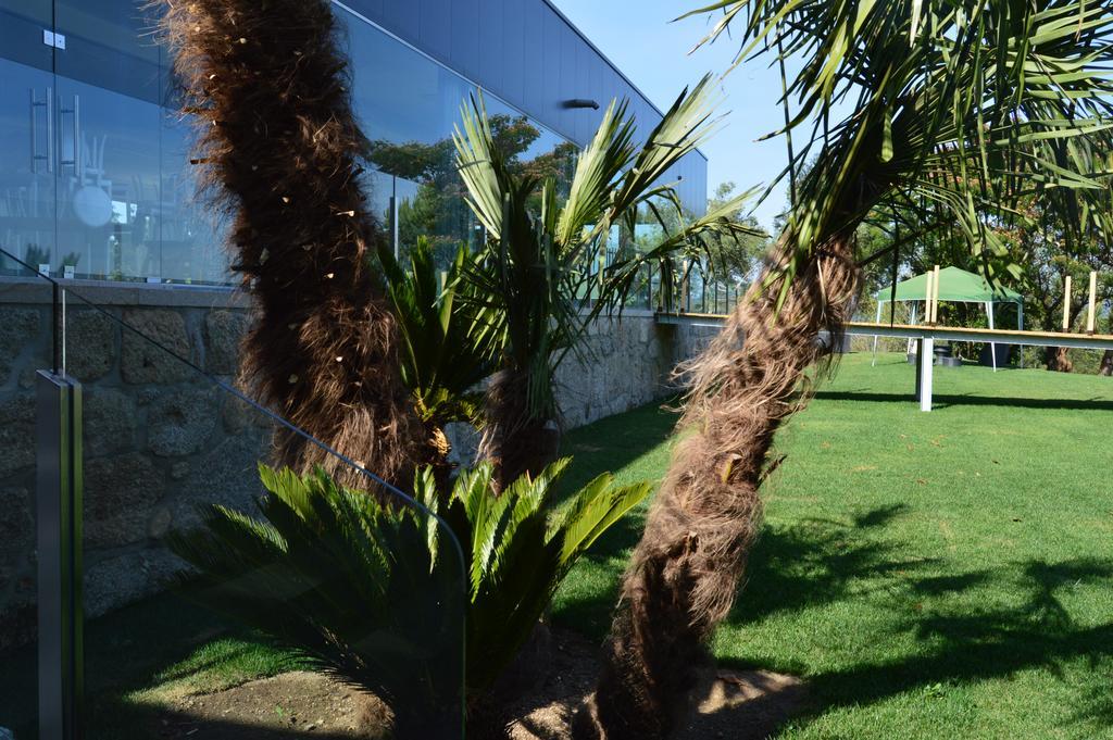 Quinta Das Tulipas Villa Barcelos Exterior photo